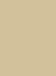 Madeira Polyneon 40 Stickgarn 5.000 m – 1738 Beige