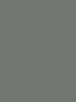 Madeira Polyneon 40 Stickgarn 5.000 m – 1741 Grigio