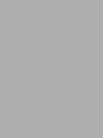 Madeira Polyneon 40 Stickgarn 5.000 m – 1812 Grigio argento