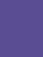 Madeira Polyneon 40 Stickgarn 5.000 m – 1832 Viola