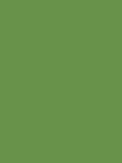 Madeira Polyneon 40 Stickgarn 5.000 m – 1848 Green