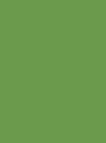 Madeira Polyneon 40 Stickgarn 5.000 m – 1848 Verde