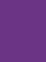 Madeira Polyneon 40 Stickgarn 5.000 m – 1880 Viola