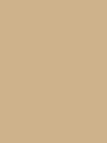 Madeira Polyneon 40 Stickgarn 5.000 m – 1884 Crema scuro