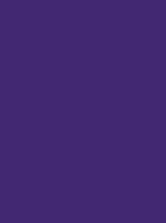 Madeira Polyneon 40 Stickgarn 5.000 m – 1922 Viola