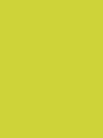 Madeira Polyneon 40 Stickgarn 5.000 m – 1940 Lime