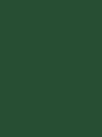 Madeira Polyneon 40 Stickgarn 5.000 m – 1970 Verde scuro