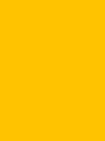 Madeira Polyneon 40 Stickgarn 5.000 m – 1971 Giallo