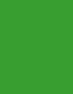 Madeira Polyneon 40 (5.000 m) 1683 Lemon 5.000 m (MD405), MD405 – 1749 Foglia Verde