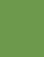 Madeira Polyneon 40 (5.000 m) 1683 Lemon 5.000 m (MD405), MD405 – 1848 Verde