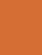 Frosted Matt No. 40 (2.500 m) – 7621 Orange