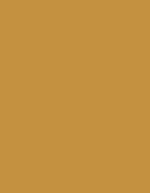 Frosted Matt No. 40 (2.500 m) – 7725 Orange