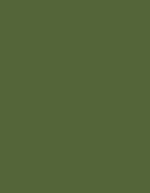 Frosted Matt No. 40 (2.500 m) – 7804 Green