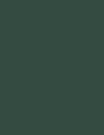Frosted Matt No. 40 (2.500 m) – 7903 Green