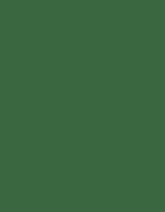 Frosted Matt No. 40 (2.500 m) – 7970 Green