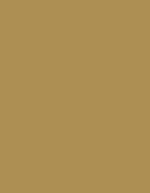 Madeira Polyneon 60 Polyester-Garn 1.500 m, 1621 Burnt Orange 1.500 m, MD600 – 1673 Light Brown