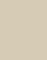 Madeira Polyneon 60 Polyester-Garn 1.500 m, 1621 Burnt Orange 1.500 m, MD600 – 1682 Ecru