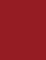 Madeira Polyneon 60 Polyester-Garn 1.500 m, 1621 Burnt Orange 1.500 m, MD600 – 1747 Red