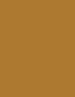 Madeira Polyneon 60 Polyester-Garn 1.500 m, 1621 Burnt Orange 1.500 m, MD600 – 1791 Sandy