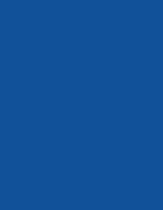 Madeira Polyneon 60 Polyester-Garn 1.500 m, 1621 Burnt Orange 1.500 m, MD600 – 1842 Royal Blue