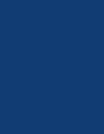 Madeira Polyneon 60 Polyester-Garn 1.500 m, 1621 Burnt Orange 1.500 m, MD600 – 1843 Royal Blue