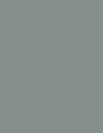 Madeira Polyneon 60 Polyester-Garn 1.500 m, 1621 Burnt Orange 1.500 m, MD600 – 1918 Grey
