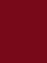 Madeira Polyneon 60 Polyester-Garn 1.500 m, 1621 Burnt Orange 1.500 m, MD600 – 1981 Maroon