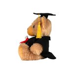 Graduation Bear – Bild 5