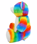 Zippie Rainbow Bear with Zip – image 4