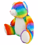 Zippie Rainbow Bear with Zip – image 5