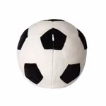 Zippie Football – Bild 4