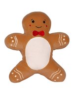 SquidgeMe – Gingerbread Man