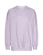 Tiger Cotton by Neutral Oversized Sweatshirt aus Bio-Baumwolle, Sport Grey XS, NET63011 – Polveroso Viola