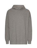 Tiger Cotton by Neutral Oversized Hoodie aus Bio-Baumwolle, Dusty Mint L, NET63111 – Sport Grey