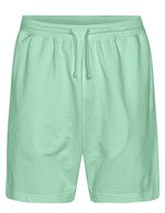 Sweatshorts aus Bio-Baumwolle, locker Schnitt – Dusty Mint