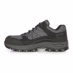 Regatta Professional Sicherheitsschuhe Sandstone SB S1-P, Briar/Black 39 (6), RG0204 – immagine 5