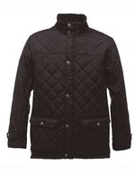 Regatta Professional Gesteppte Jacke mit Thermo-Guard, Black S, RG441 – Bild 2