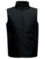 Regatta Professional Gesteppte wasserabweisende Bodywarmer mit Taschen – Black/Black