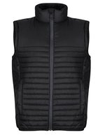 Regatta Honestly Made Recycelte Thermoweste mit Stretchbündchen – Black