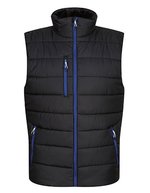 Thermal Bodywarmer mit Warmloft-Technologie – Black/New Royal