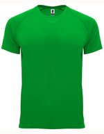 Funktions-T-Shirt Bahrain Polyester für Herren – Fern Green 226