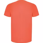 Roly Eco Eco Imola T-Shirt made of Recycled Material, Lime Green 225 XL, RY0427 – image 4