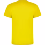 Roly Baumwoll Kurzarm T-Shirt mit Nackenband, Ebony 231 XL, RY6502 – Bild 4