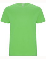 Roly Stafford T-Shirt mit Rundhalskragen, Sand 07 XXL, RY6681 – Oasis Vert 114