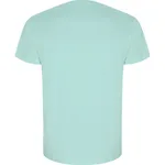 Roly Eco Bio-T-Shirt in Gold für Herren, Heather Grey 58 3XL, RY6690 – Bild 4