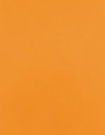Stahls CAD-CUT® Premium Plus Flexfolie, 60°C Waschbar, Apple Green 421 (ca. Pantone 368C) Meter, SA100 – Chiaro Arancione 185 (ca. Pantone 1495C)