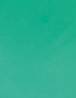 Stahls CAD-CUT® Premium Plus Flexfolie, 60°C Waschbar, Apple Green 421 (ca. Pantone 368C) Meter, SA100 – Menta 419 (ca. Pantone 339C)