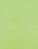 Stahls CAD-CUT® Premium Plus Flexfolie, 60°C Waschbar, Apple Green 421 (ca. Pantone 368C) Meter, SA100 – Pastello Verde 420 (ca. Pantone 358C)