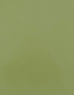 Stahls CAD-CUT® Premium Plus Flexfolie, 60°C Waschbar, Apple Green 421 (ca. Pantone 368C) Meter, SA100 – Pistacchio Verde 425 (ca. Pantone 5777 C)