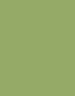 Stahls CAD-CUT® Premium Plus Flexfolie, 60°C Waschbar, Apple Green 421 (ca. Pantone 368C) Meter, SA100 – Verde salvia 423 (ca. Pantone 7537C)